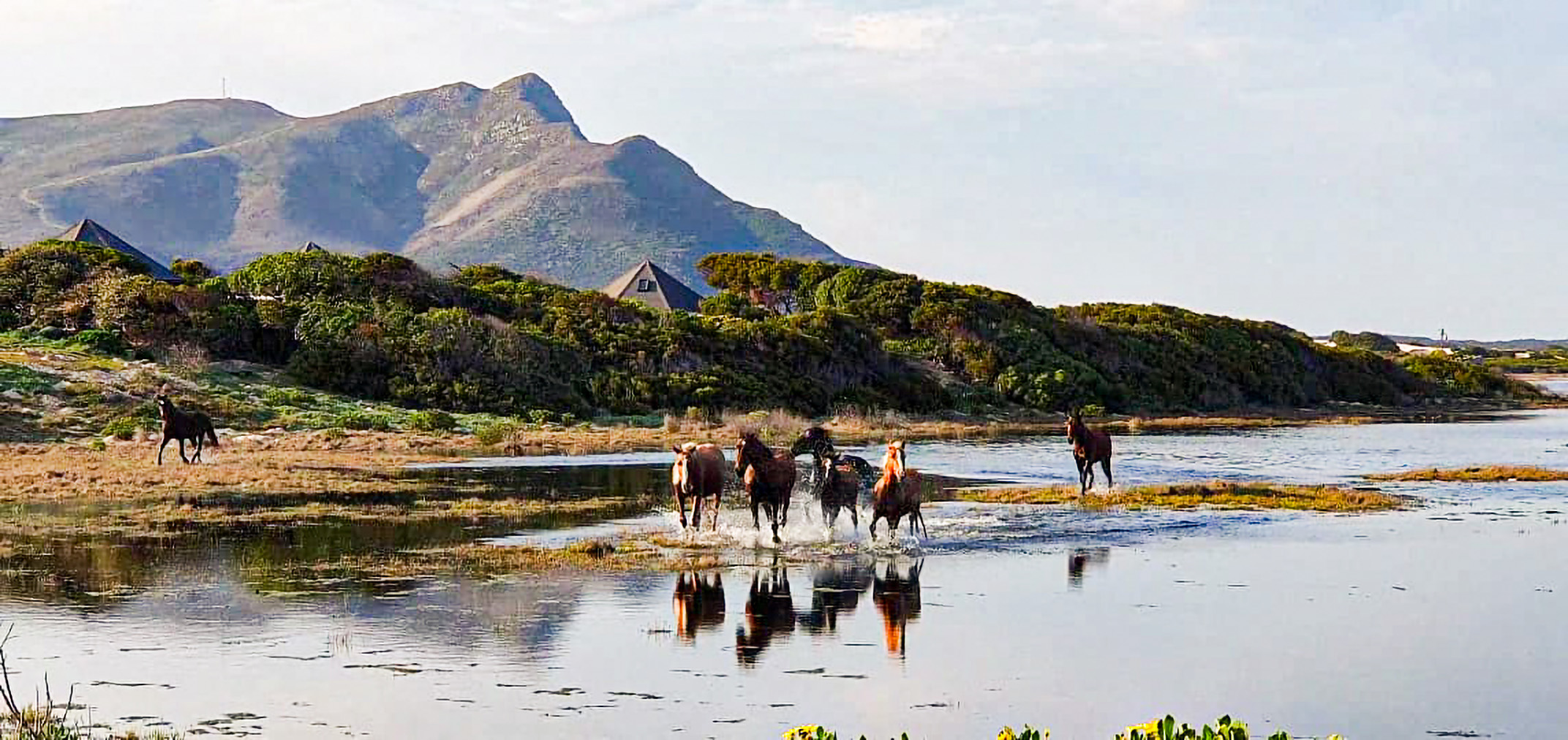 self catering holiday home near Hermanus – Lagoon Haven House